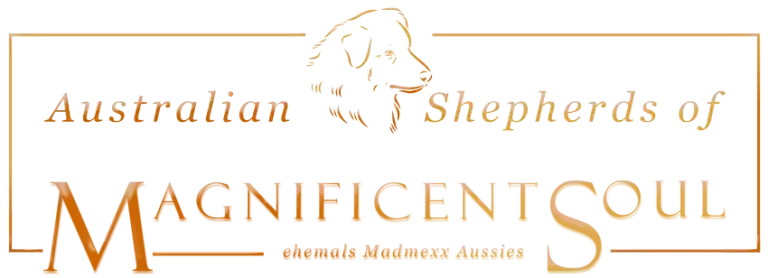 Australian Shepherds_of Magnificent-Logo