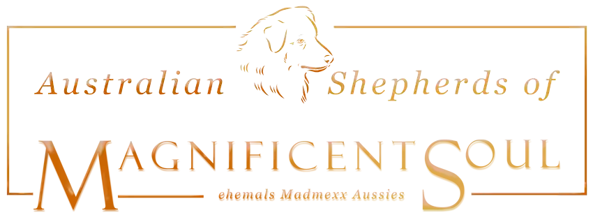 Australian Shepherds_of Magnificent-Logo