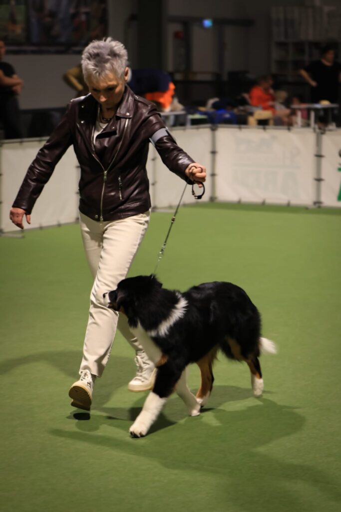 Australian Shepherds of MagnificentSoul | ehemals Madmexx-Aussies Hunde-JJ
