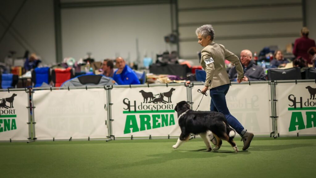 Australian Shepherds of MagnificentSoul | ehemals Madmexx-Aussies Hunde-JJ