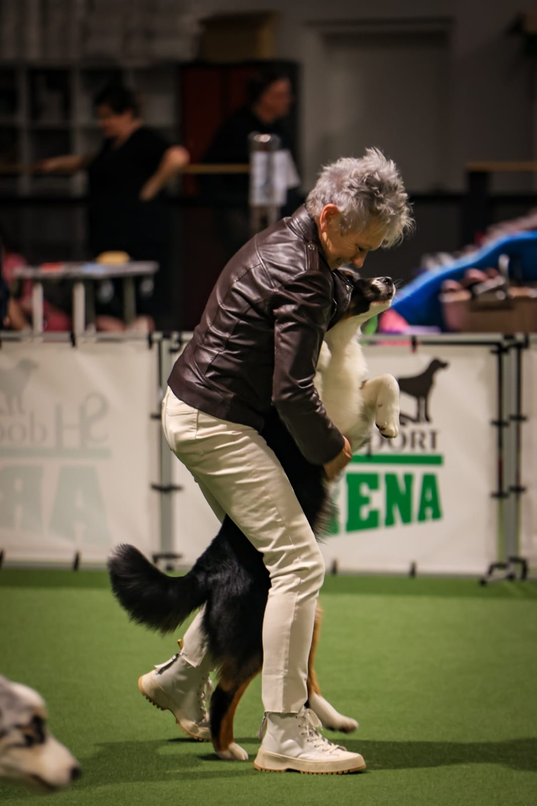 ASVA Magic Christmas Event  SH Dogsport Arena Hückelhoven
