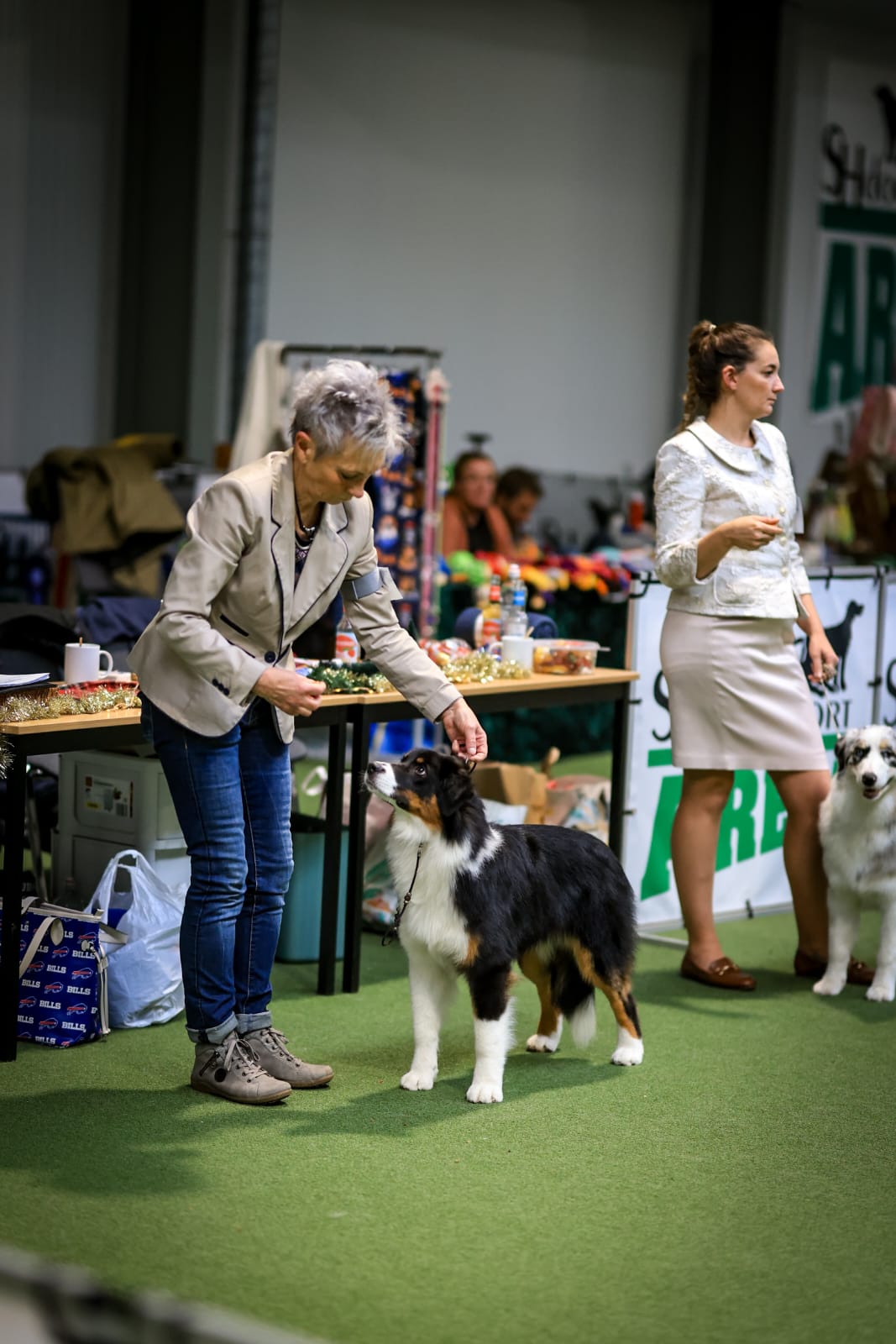 ASVA Magic Christmas Event  SH Dogsport Arena Hückelhoven